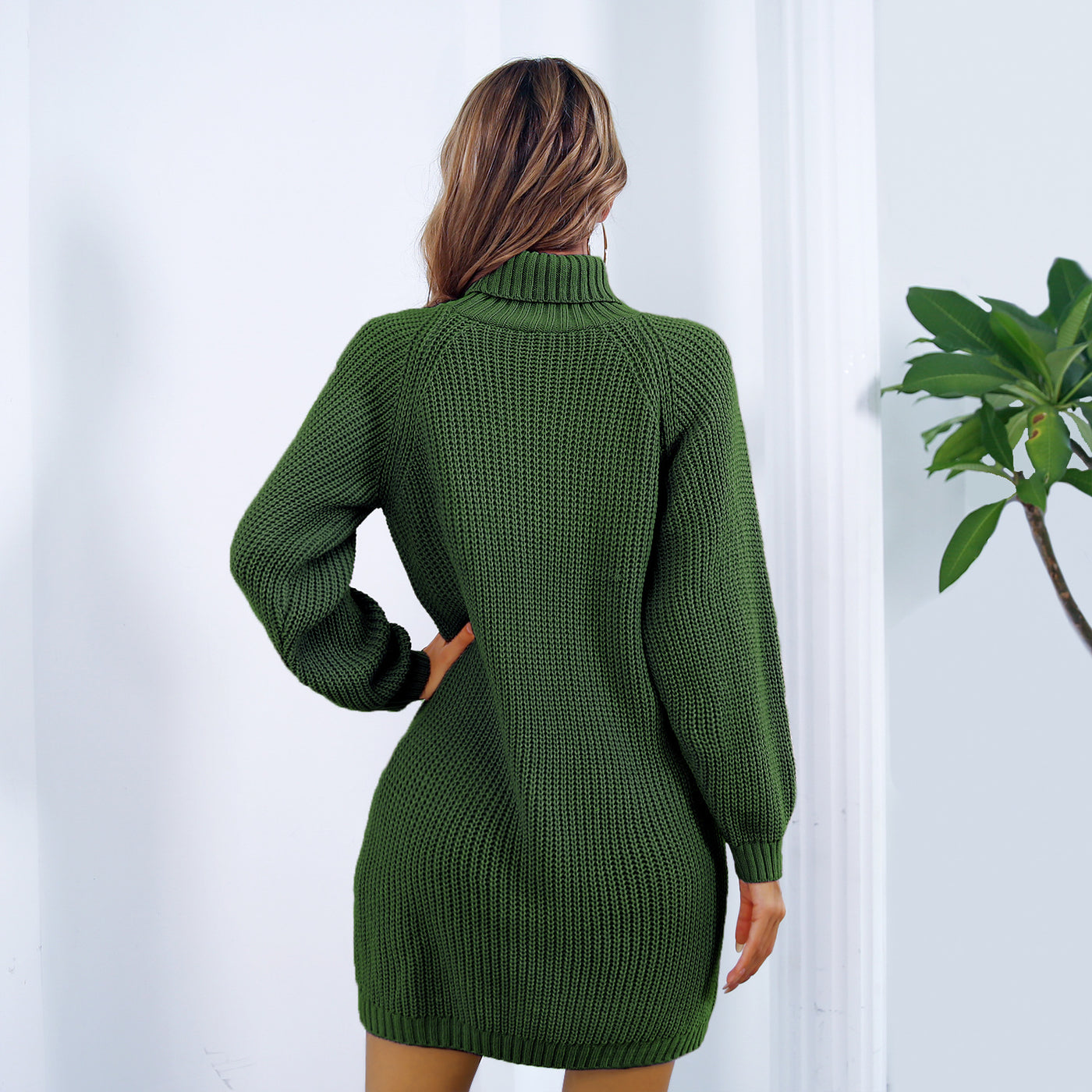 Autumn & Winter Style: Turtleneck Long Sleeve Sweater Dress