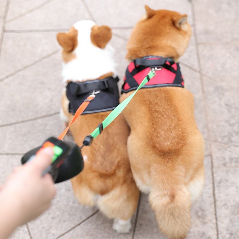 Double-Headed Traction Rope Chain Two Anti-Winding Dog Rope Dog Traction Rope Automatic Retractable Small Dog