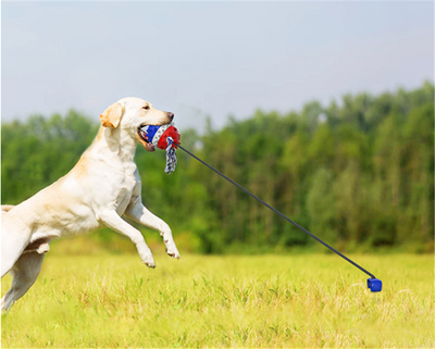 Dog Teething And Bite Resistant Outdoor Strong Draw Rope Ball