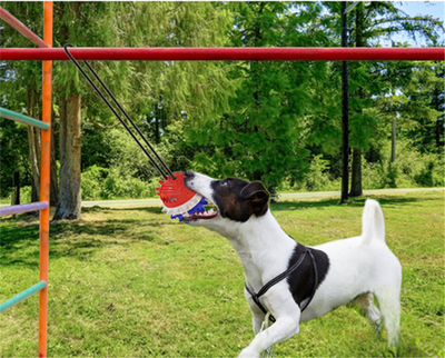 Dog Teething And Bite Resistant Outdoor Strong Draw Rope Ball