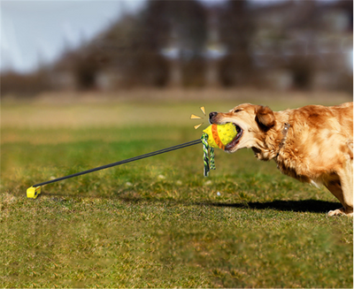 Dog Teething And Bite Resistant Outdoor Strong Draw Rope Ball